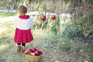 Karácsonyfa-kérdés: a valódi fenyő a jobb választás?